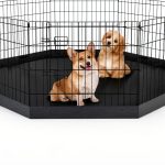 PEEKABOO Pet Playpen Mat Durable Oxford Fabric Indoor-0