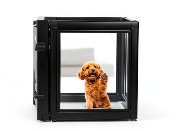 FXW Dog Playpen Transparent Panels Removable Divider-1